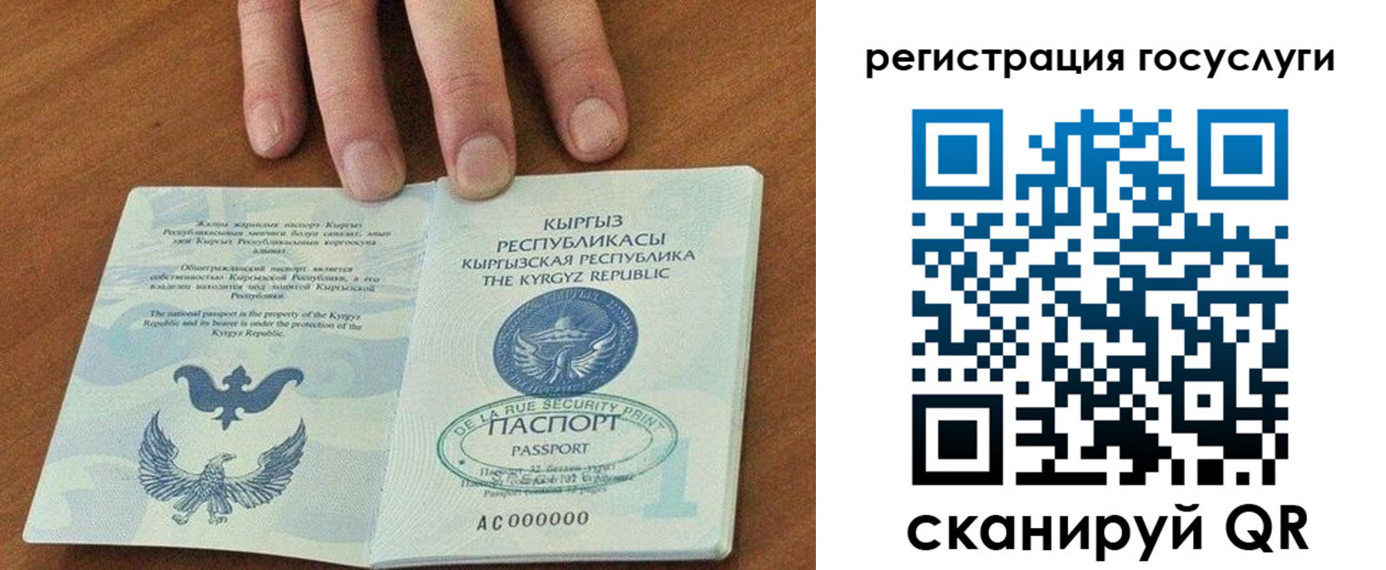 временная регистрация адрес в Тимашёвске